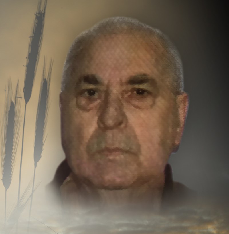 M. Fernand Pelletier