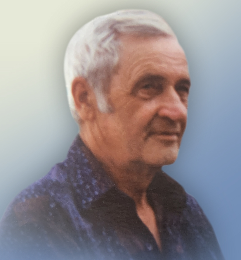 M. Léonard Vallières