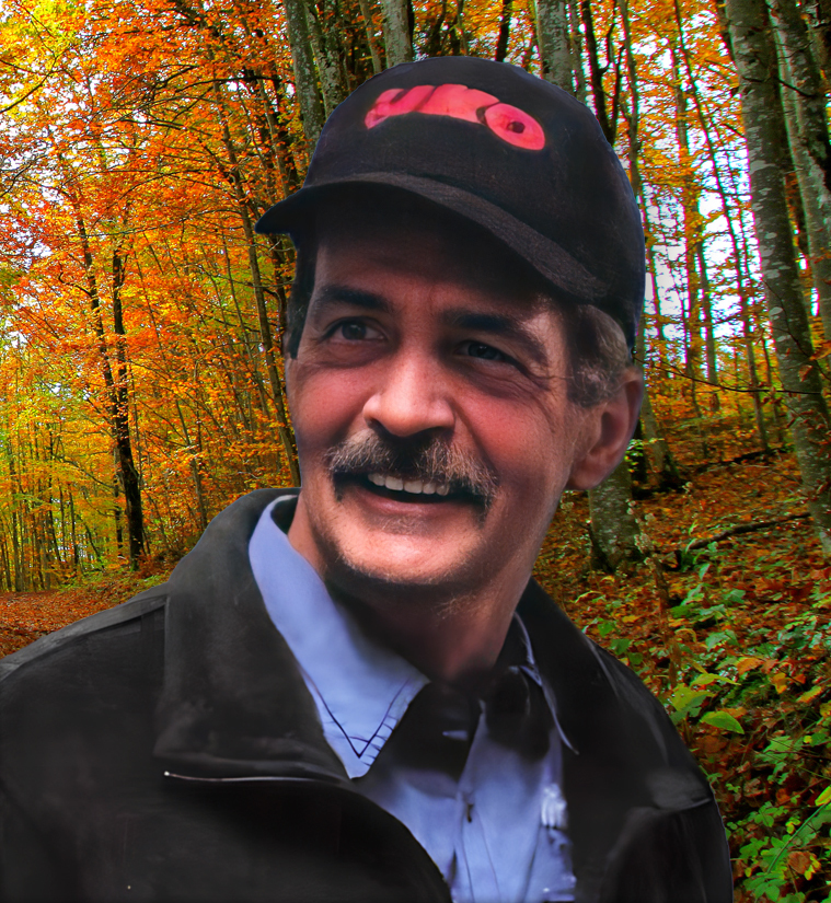 M. Langis Gagné
